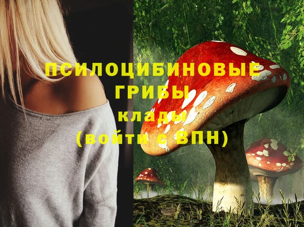 mdpv Усмань