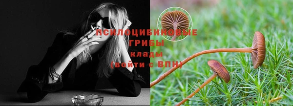 Альфа ПВП Горнозаводск