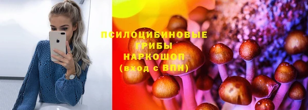Альфа ПВП Горнозаводск