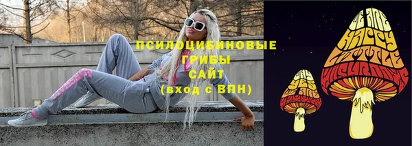 соль курить ск Горняк