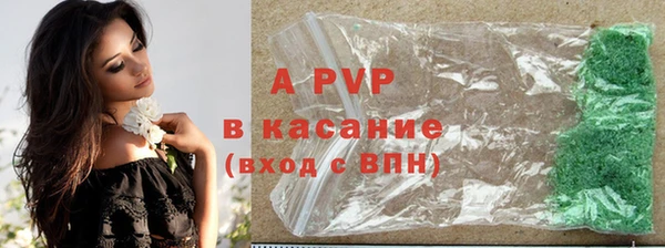винт Горно-Алтайск
